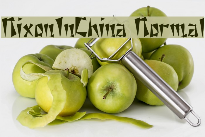 NixonInChina Normal Font examples