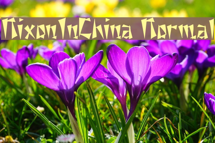 NixonInChina Normal Font examples