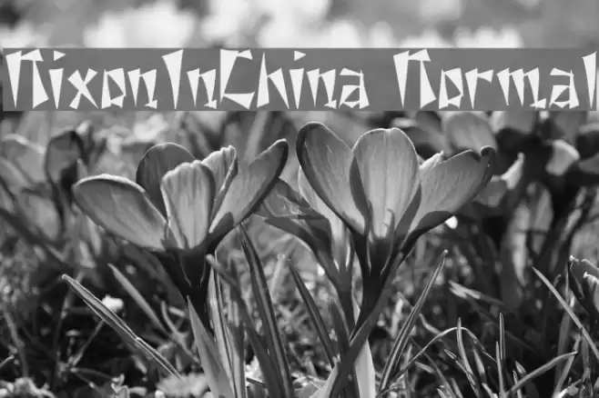 NixonInChina Normal Fonte examples
