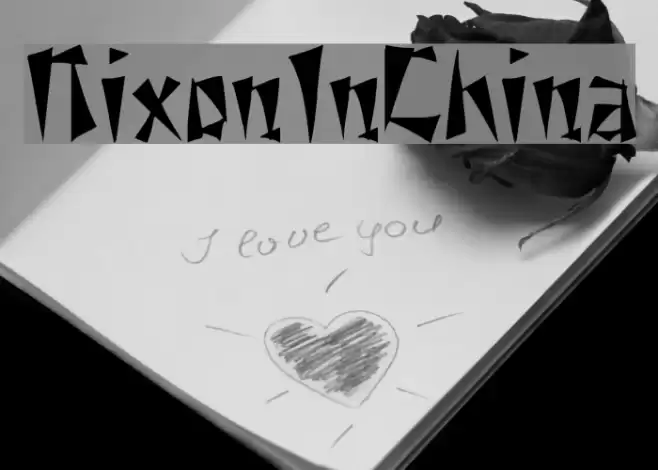 NixonInChina Polices examples