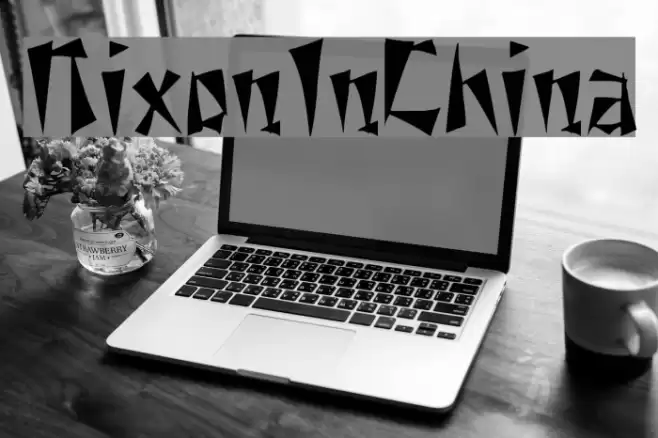 NixonInChina Polices examples