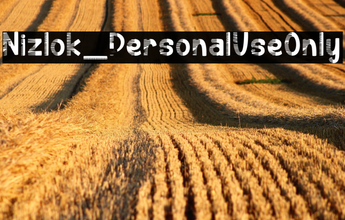 Nizlok_PersonalUseOnly Example 3