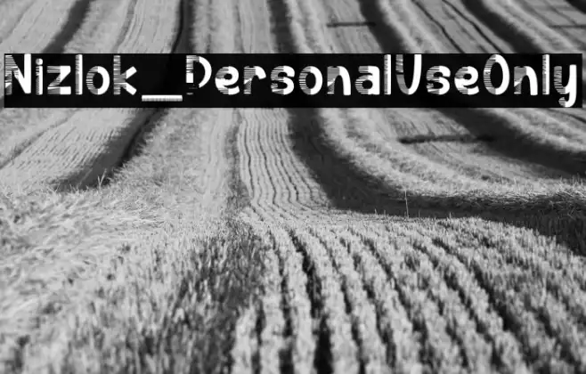 Nizlok_PersonalUseOnly Example 3