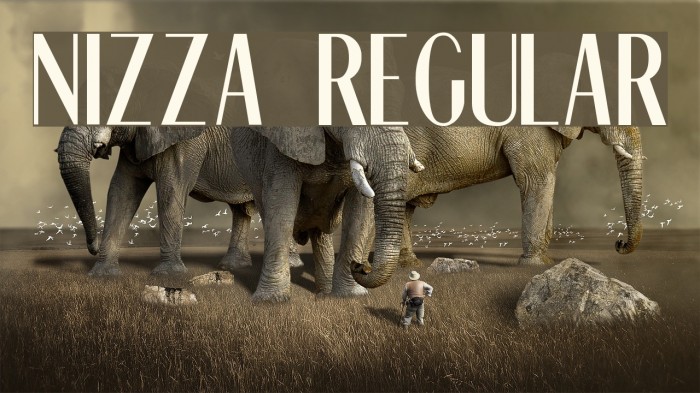 Nizza Regular Font examples