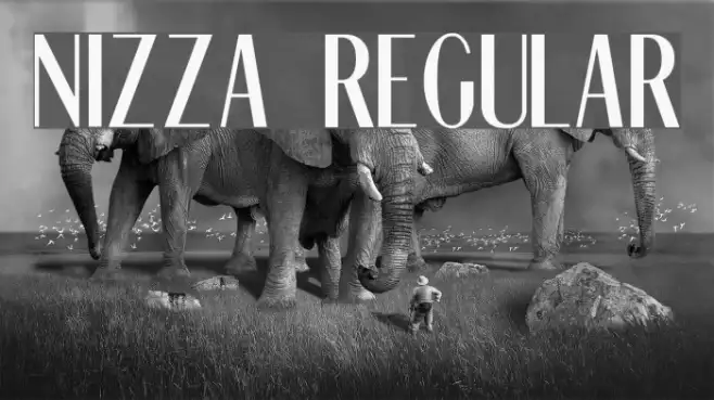 Nizza Regular Example 1