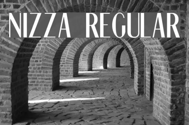 Nizza Regular Example 2