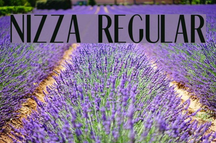 Nizza Regular Font examples