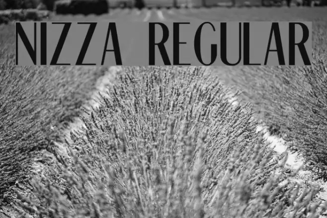 Nizza Regular Example 3