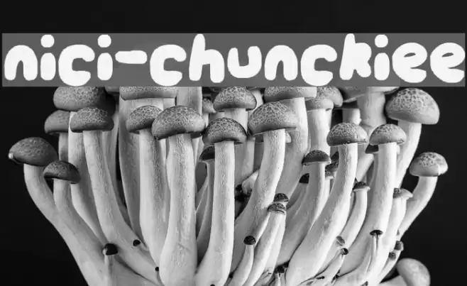 nici-chunckiee Font examples
