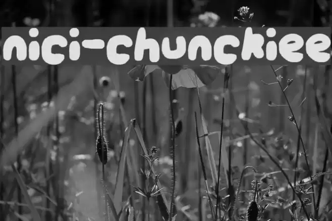 nici-chunckiee Font examples