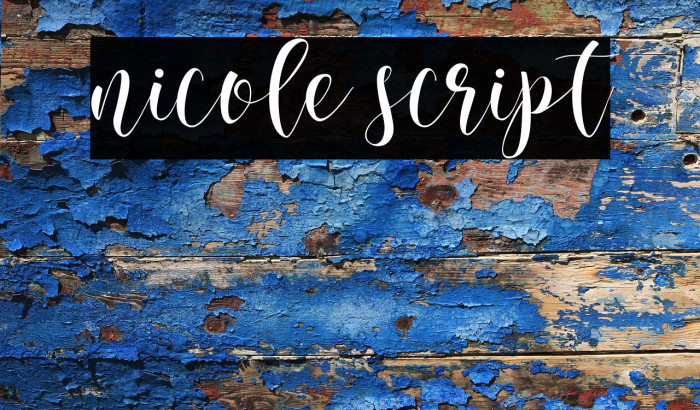 nicole script Example 1