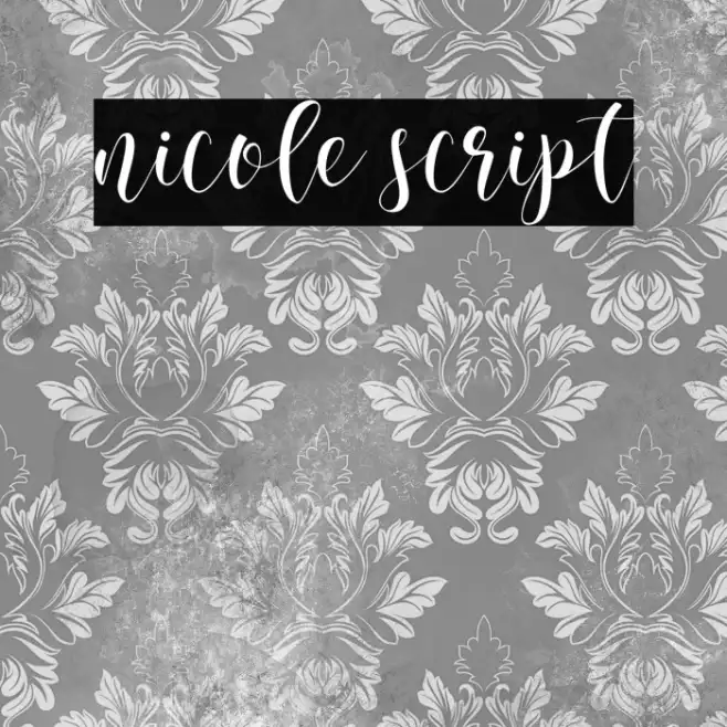 nicole script Example 3