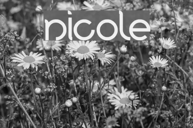 nicole Font examples