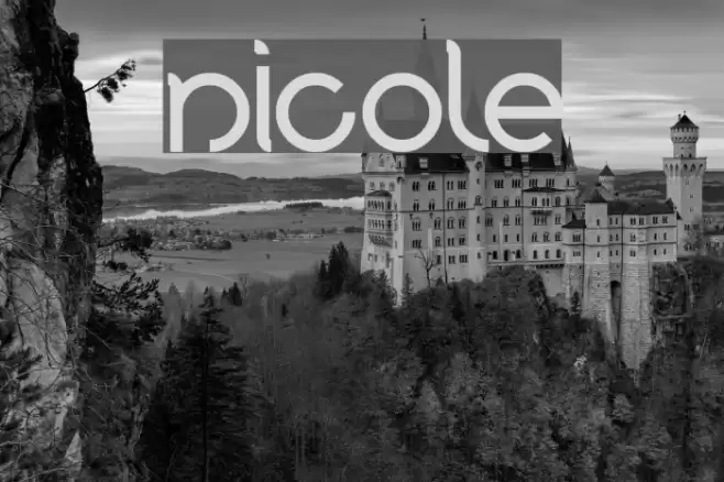 nicole Font examples