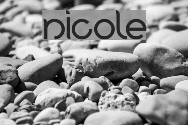 nicole Font examples