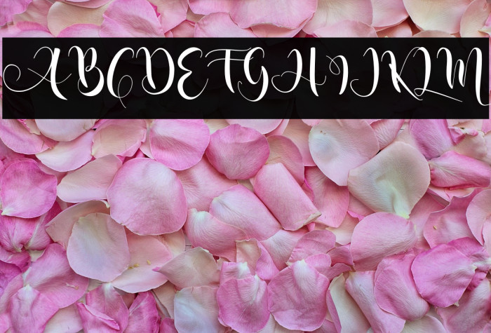 nicolescript Example 3