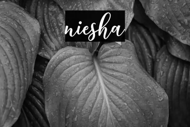 niesha Font examples
