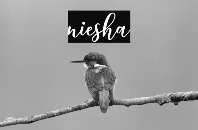 niesha Font examples