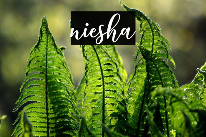 niesha Example 3