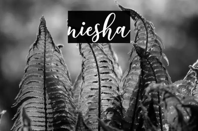 niesha Font examples