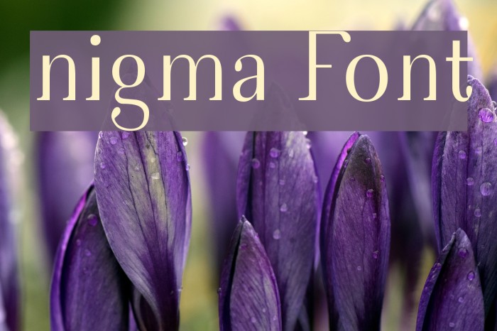 nigma Font examples