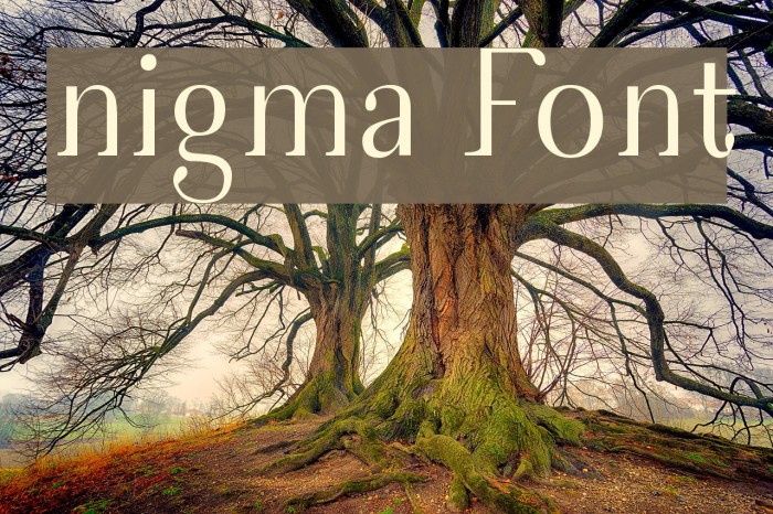 nigma Font examples