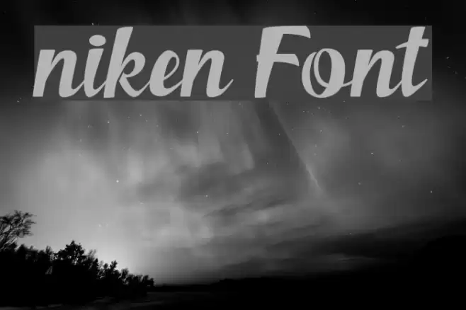 niken Font examples