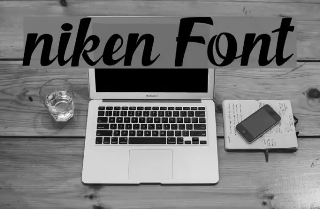 niken Font examples