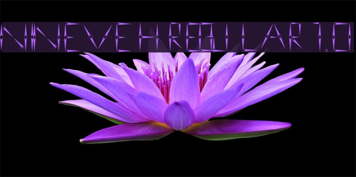 nineveh regular 1.0 Example 1