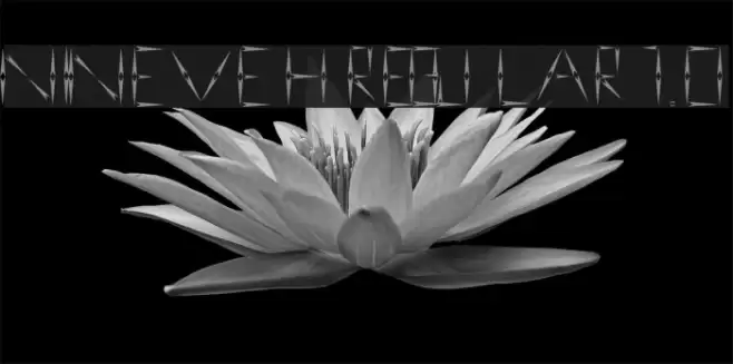 nineveh regular 1.0 Font examples