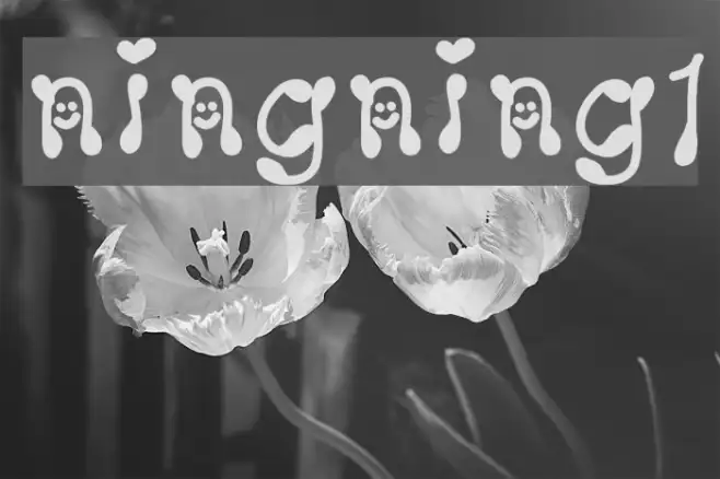 ningning1 Example 3