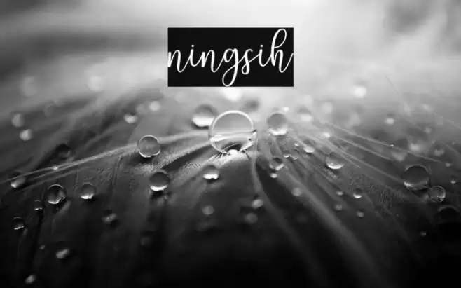 ningsih Font examples