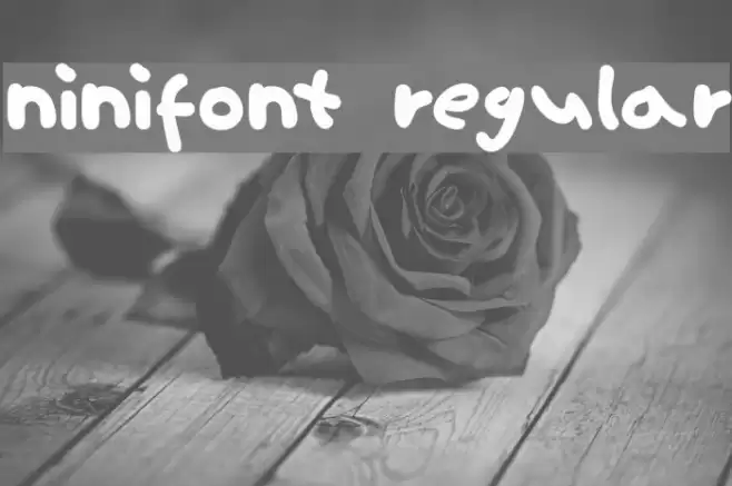 ninifont regular Polices examples