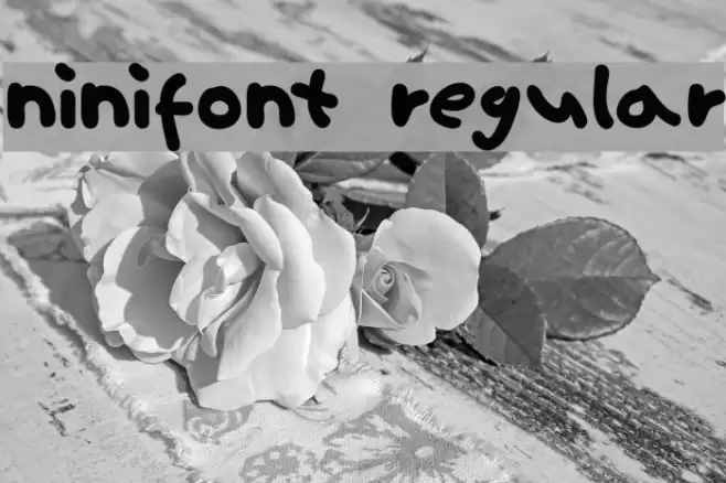 ninifont regular Polices examples