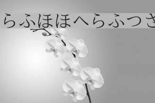 nipponica Font examples