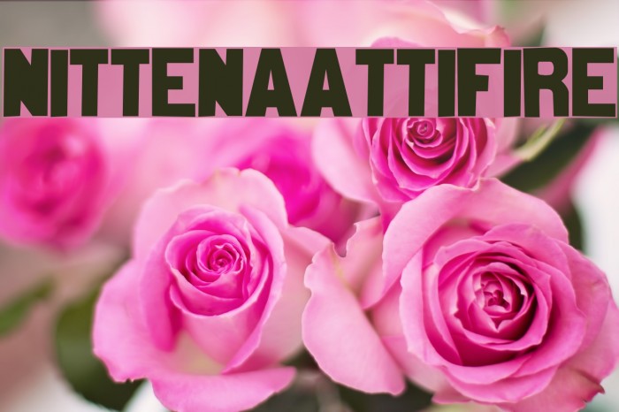 nittenaattifire Font examples
