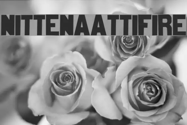 nittenaattifire Example 1