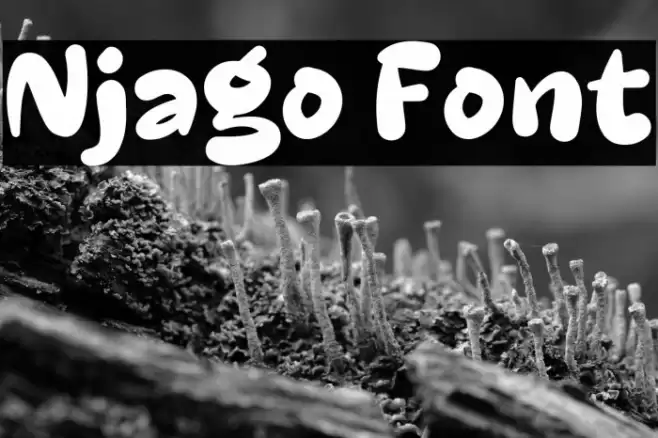 Njago Font examples