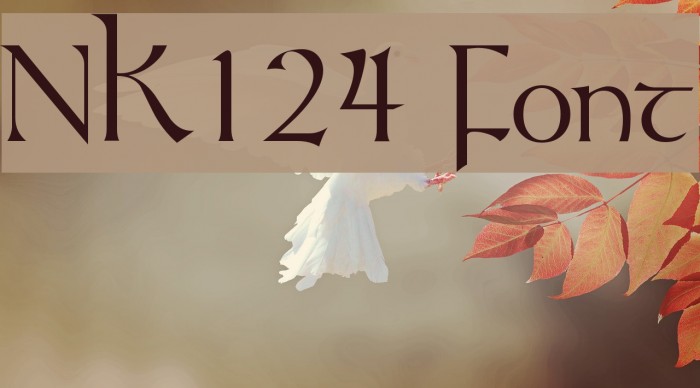 NK124 Polices examples
