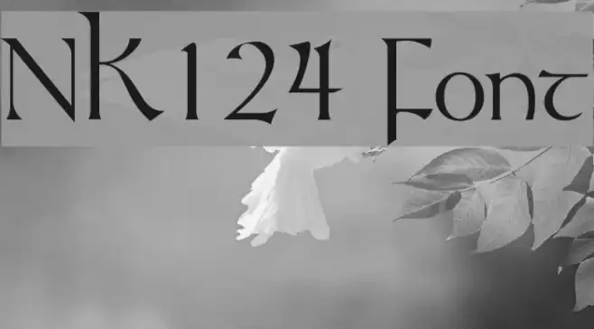 NK124 Example 1