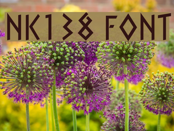 NK138 Font examples