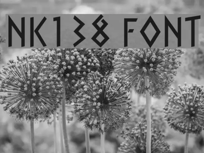 NK138 Example 2