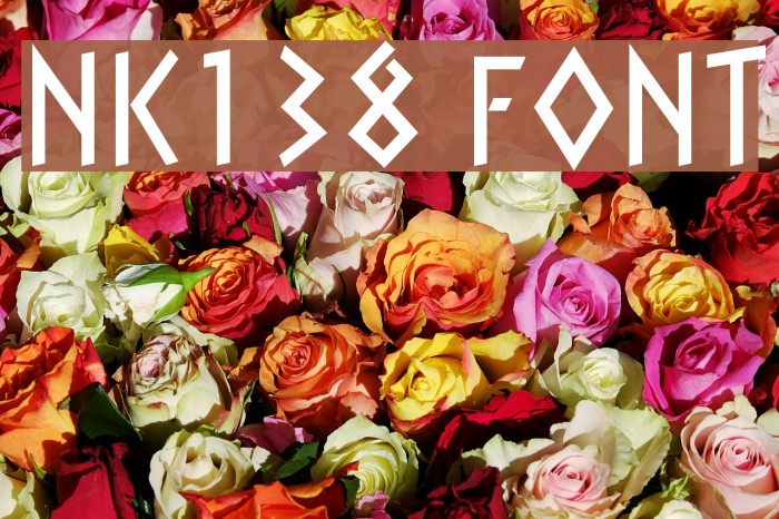 NK138 Font examples