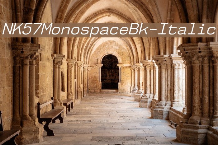 NK57MonospaceBk-Italic Font examples