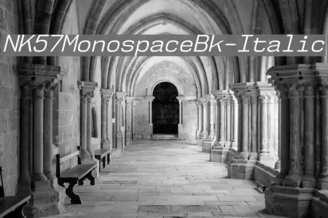 NK57MonospaceBk-Italic Schriftart examples