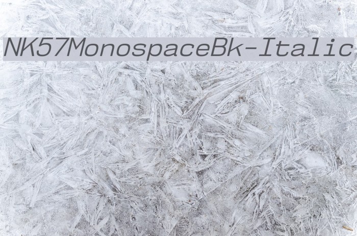 NK57MonospaceBk-Italic Font examples