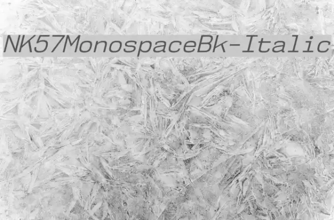 NK57MonospaceBk-Italic Schriftart examples