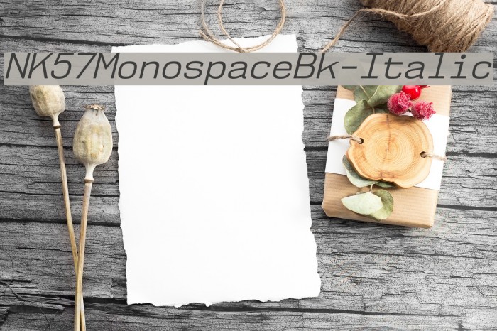 NK57MonospaceBk-Italic Font examples