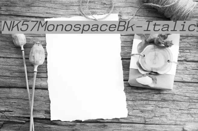 NK57MonospaceBk-Italic Schriftart examples