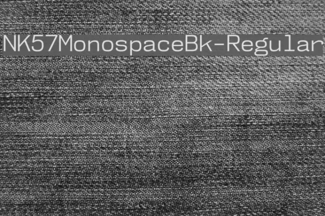 NK57MonospaceBk-Regular Example 1